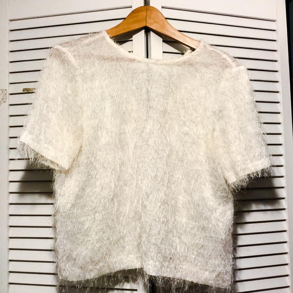 Zara Sheer Cream Fuzzy Short Sleeve Top